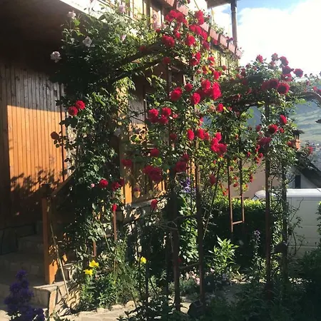 Pensión Roden Dom Koprivshtitsa